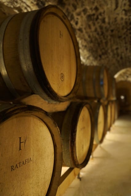Champagne Vineyard Experience: Delve into the terroir - Who will enjoy this family estate visit?