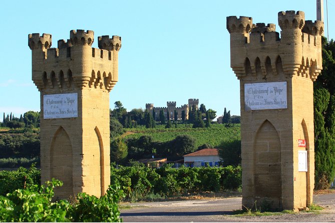 Châteauneuf du Pape Wine Day Tasting Tour including Lunch from Avignon - Lunch with a view is more than a break