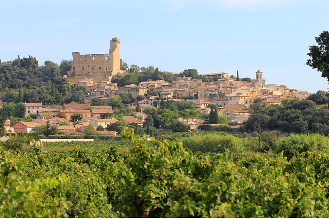 Châteauneuf du Pape Wine Day Tasting Tour including Lunch from Avignon - The guide can shape the whole day