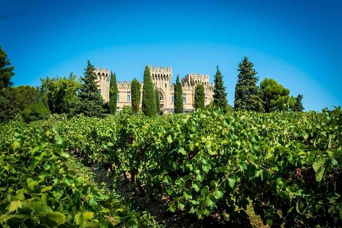 Chateauneuf du Pape wine tour - Starting in Avignon at 9:30 a.m.