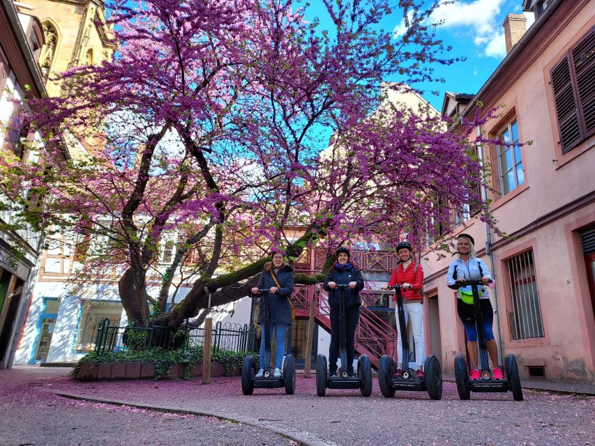 Colmar: 2-Hour Segway Tour - Safety, comfort, and who should skip it