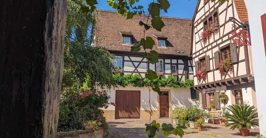 Colmar: Unusual Walking Tour with a local guide - Key points at a glance