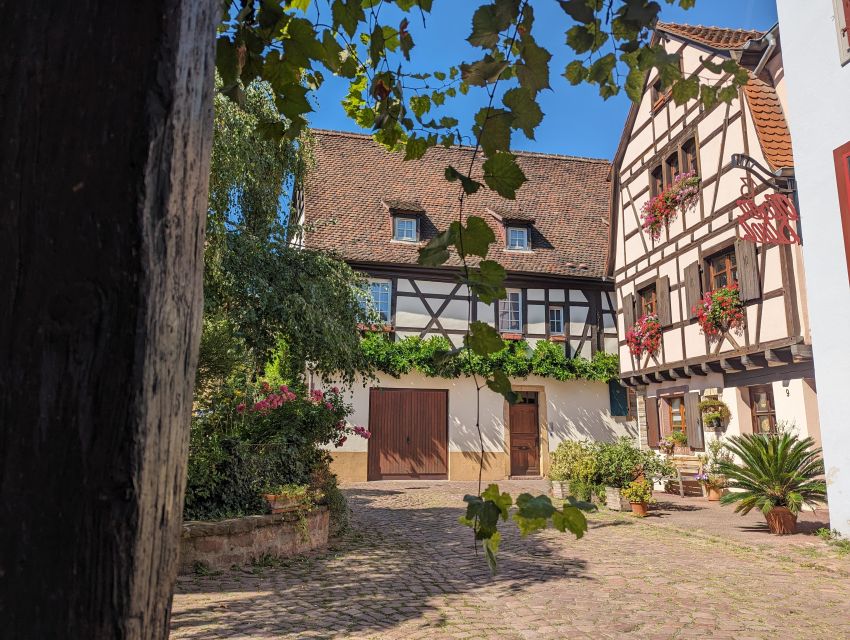 Colmar: Unusual Walking Tour with a local guide - Why this Colmar walk is different
