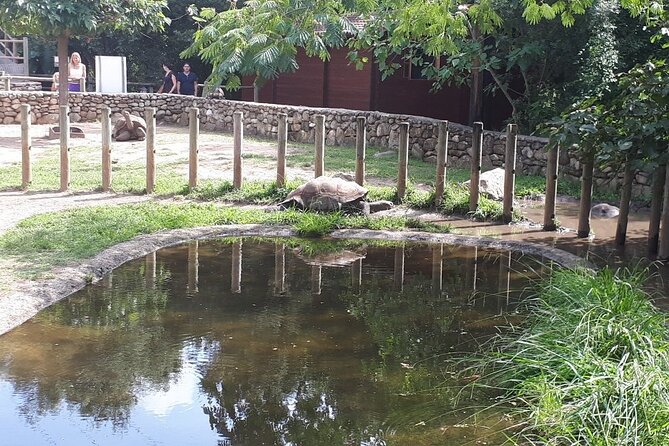Corsica A Cupulatta Turtle Park Skip the Line Admission Ticket - Walking the two-hectare park