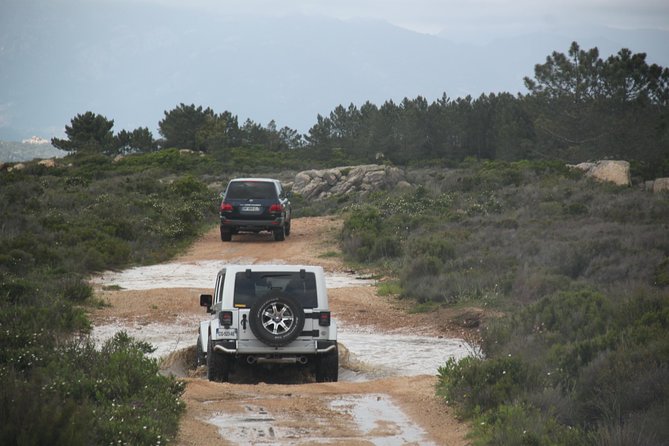 Corsica Extreme Sud Day 4X4 Excursions from Porto-Vecchio - Learning Corsica Through Plants and Stories