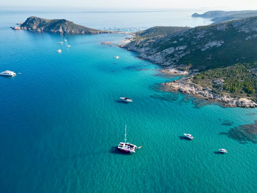 Côte d'Azur: Half-Day Coastline Catamaran Sailing Tour - Who should book this Côte d’Azur cruise?