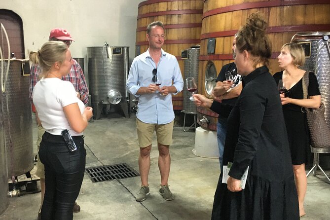 Côtes de Provence Small Group Day Trip with Winery Visits & Tastings from Nice - The afternoon winery adds contrast