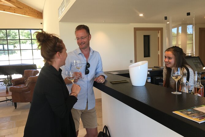Côtes de Provence Small Group Day Trip with Winery Visits & Tastings from Nice - Why the guide matters so much