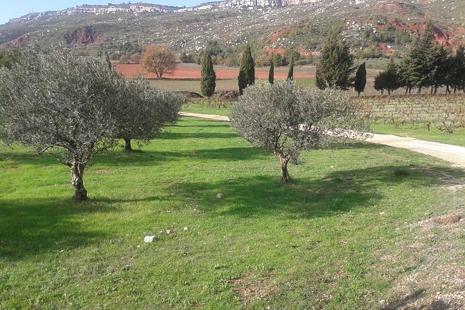 Cotes de Provence Wine Tour from Aix-en-Provence - Key points at a glance