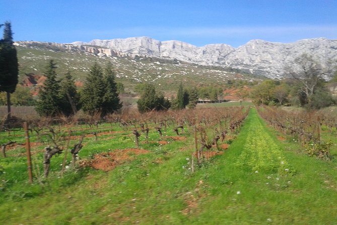 Cotes de Provence Wine Tour from Aix-en-Provence - Leaving Aix for the Sainte-Victoire vineyards
