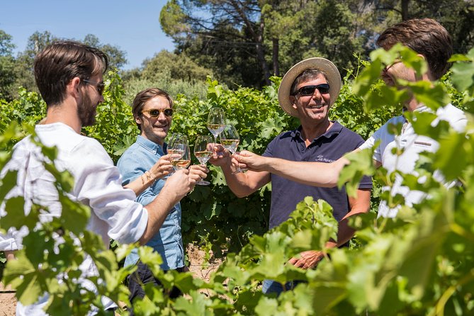Cotes de Provence Wine Tour from Aix-en-Provence - My advice before you go
