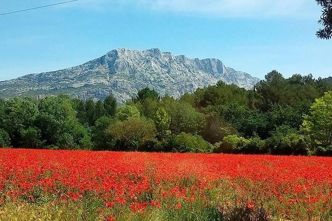 Cotes de Provence Wine Tour from Aix-en-Provence - First tasting at Mas de Cadenet