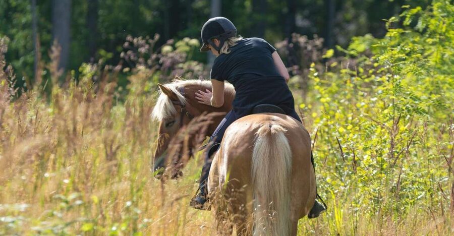 Cruseilles: Horseback Riding in the Countryside - Practical tips for a comfortable ride