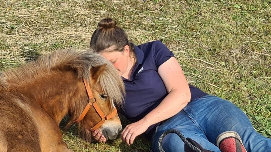 Cruseilles: Horseback Riding in the Countryside - Meeting the horses at the Cruseilles stables