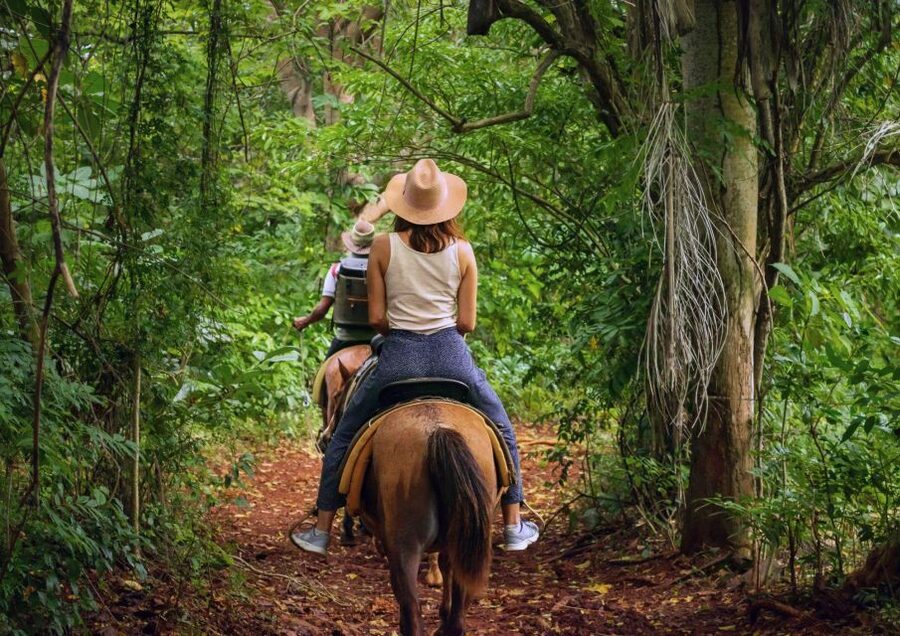 Cruseilles: Horseback Riding in the Countryside - How beginner-friendly is the ride?