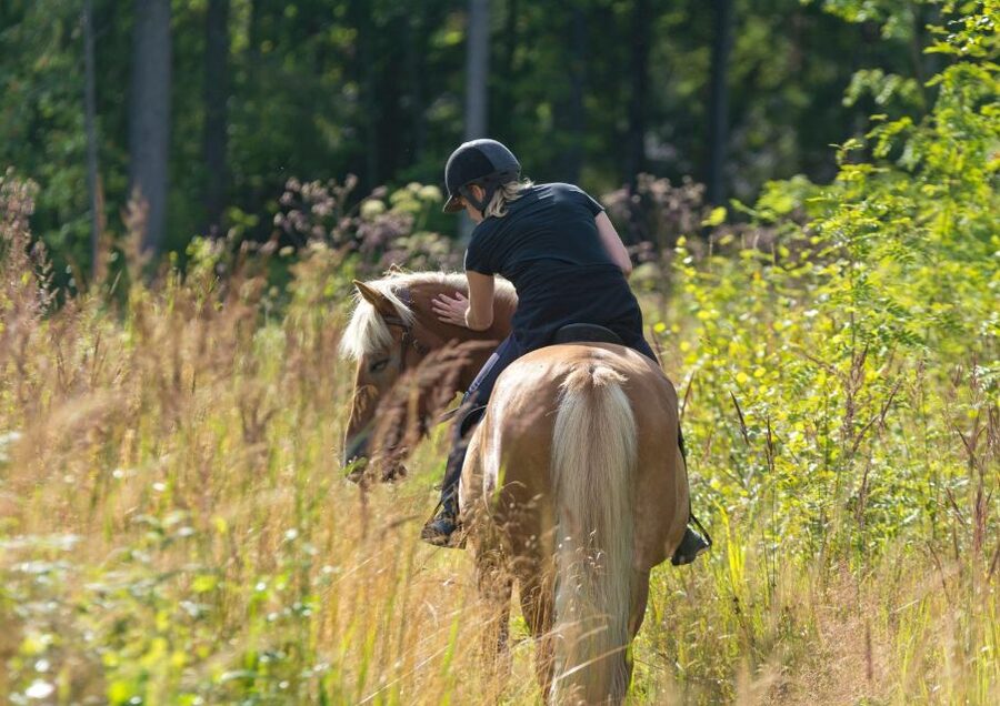 Cruseilles: Horseback Riding in the Countryside - Guides who add more than directions