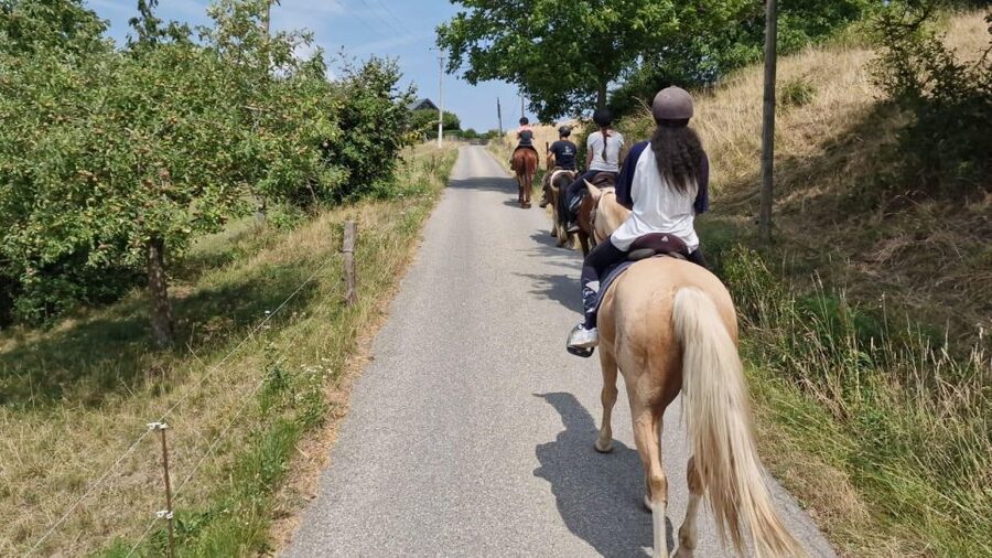 Cruseilles: Horseback Riding in the Countryside - Brushing and feeding your horse afterward