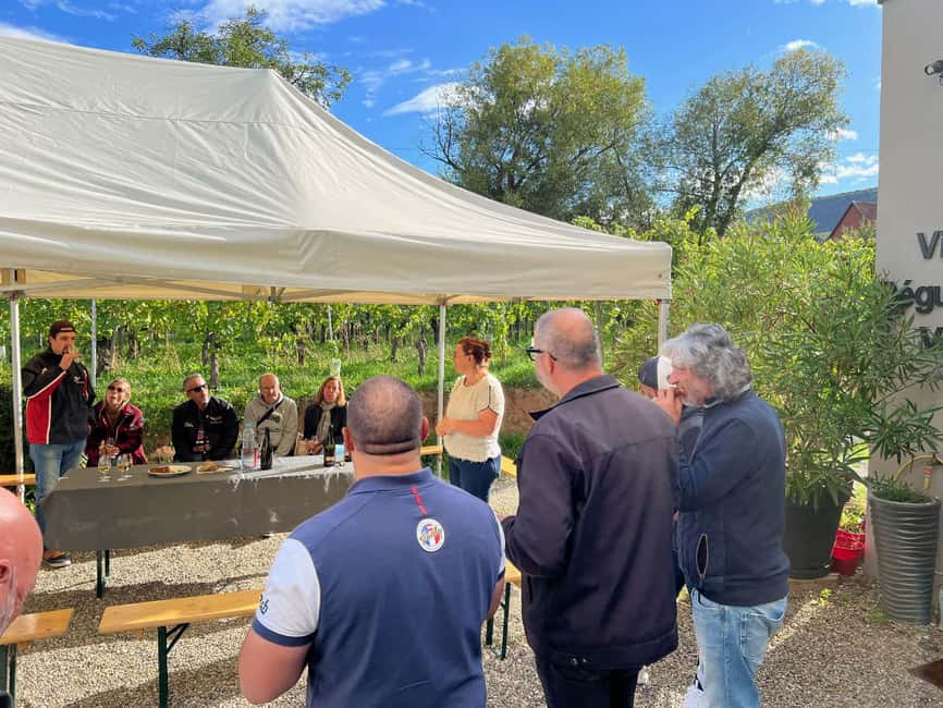 Dare to Alsace Wine with a Feminine Touch - Starting at Domaine Gueth’s eight-hectare estate