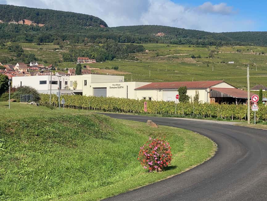 Dare to Alsace Wine with a Feminine Touch - Who will enjoy this two-hour visit?