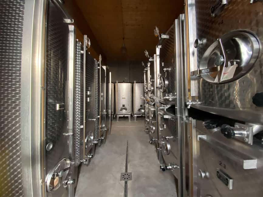 Dare to Alsace Wine with a Feminine Touch - Walking the vines for about one hour