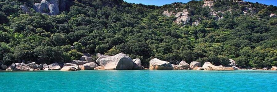 Day cruise to the Cerbicales & Lavezzi Islands with lunch - Lavezzi Islands: swimming or exploring