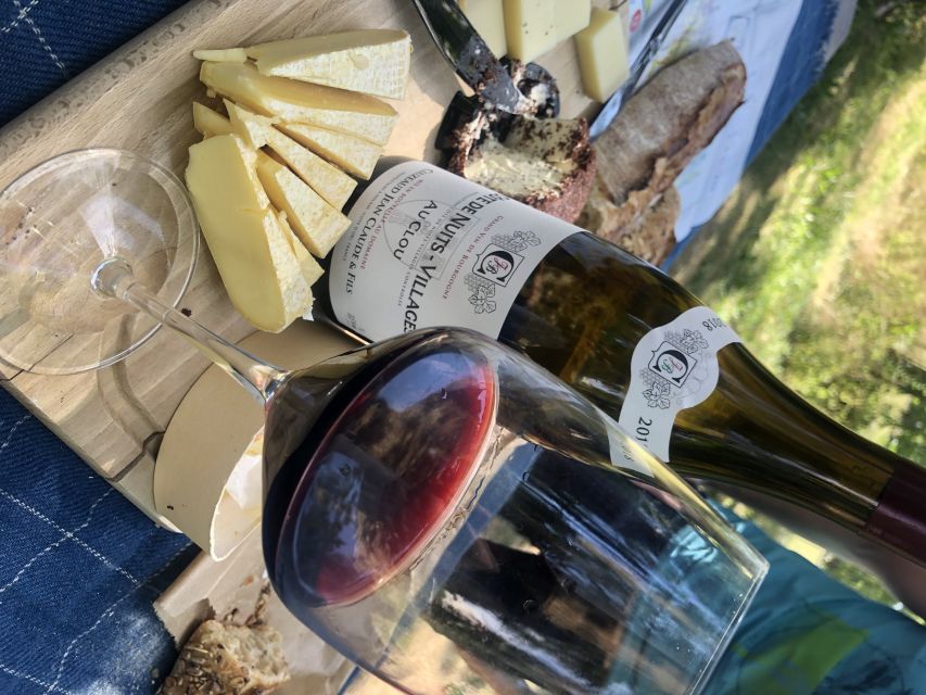 Dijon: Cheese and Burgundy Wine Tasting Workshop - Should you book it?