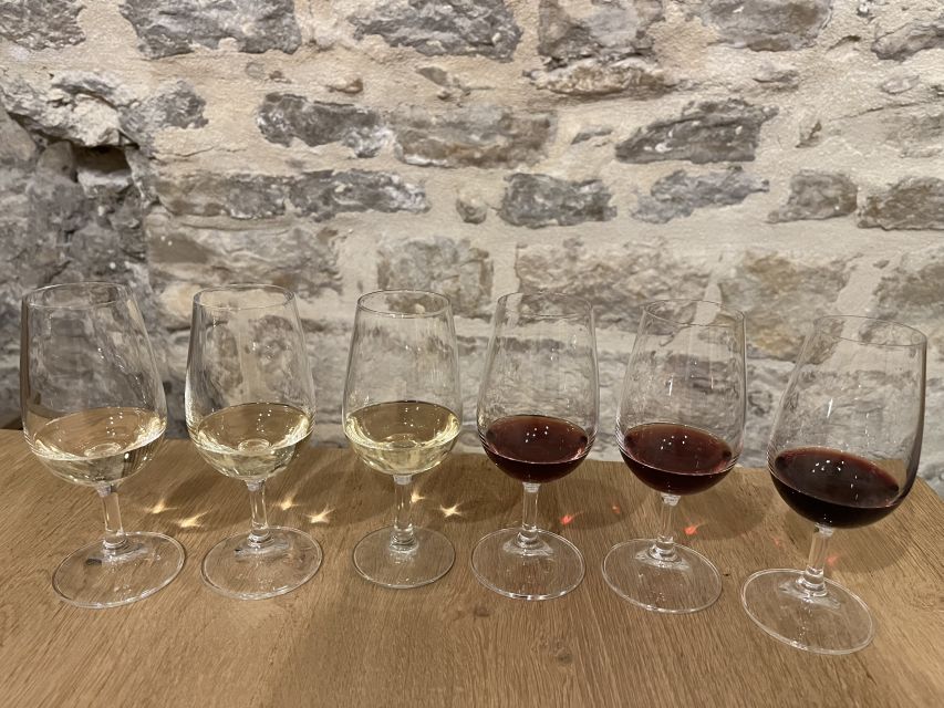 Dijon: Cheese and Burgundy Wine Tasting Workshop - The cheese course changes everything