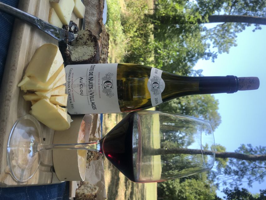 Dijon: Cheese and Burgundy Wine Tasting Workshop - What you get for $57 per person