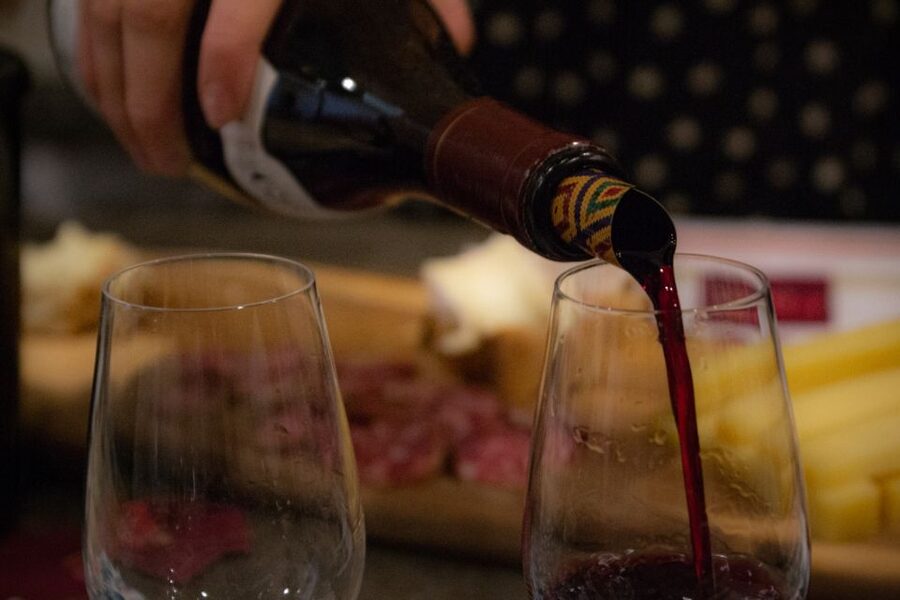 Dijon: Cheese and Burgundy Wine Tasting Workshop - Who should book this Dijon tasting?