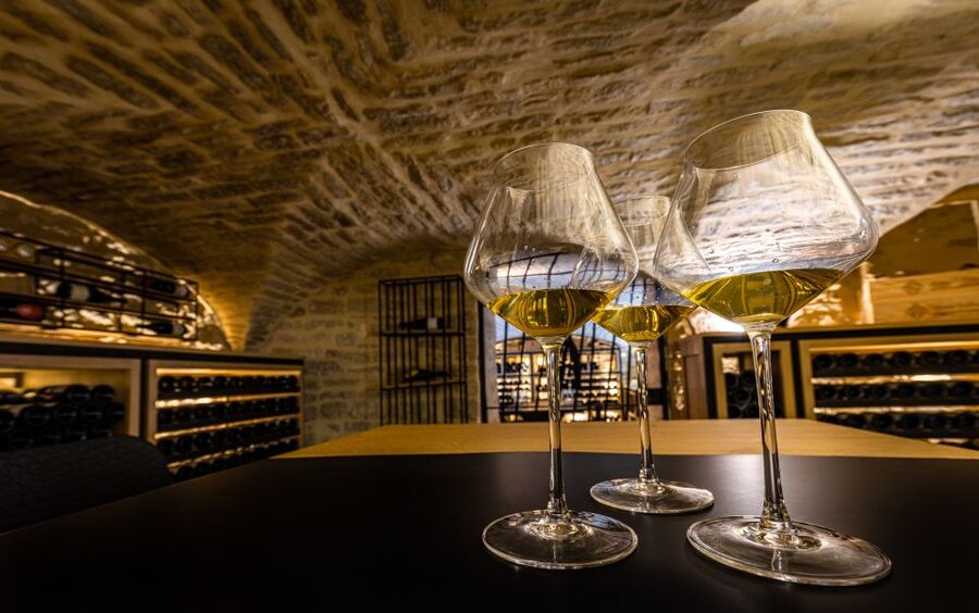 Dijon: La Cave du Palais Burgundy Wine Tasting Experience - Six wines, from regional bottles to Grand Cru