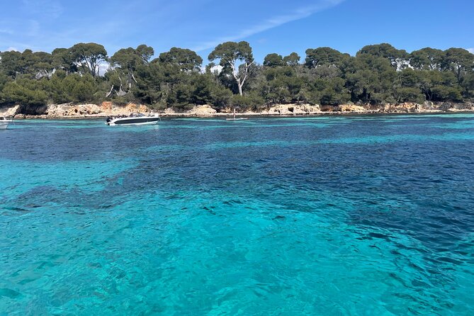 Discover the Lérins Islands and the Bay of Cannes by Private Boat - The Croisette from the sea