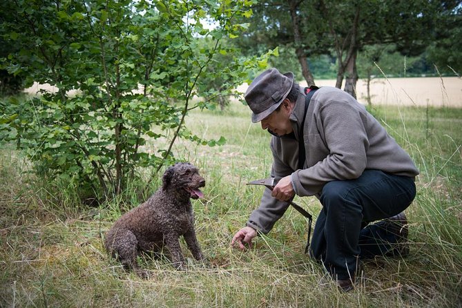 Discovery of the world of Truffles and tasting - Getting to Marey-lès-Fussey from Beaune