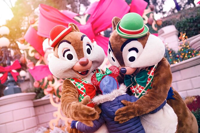 Disneyland® Paris 1 Day Ticket with Transport from Paris - Ticket problems and Premier Access confusion