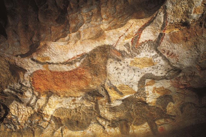Dordogne Day Tour : Prehistory and The Art of the Caves from Sarlat - Starting at the National Museum of Prehistory