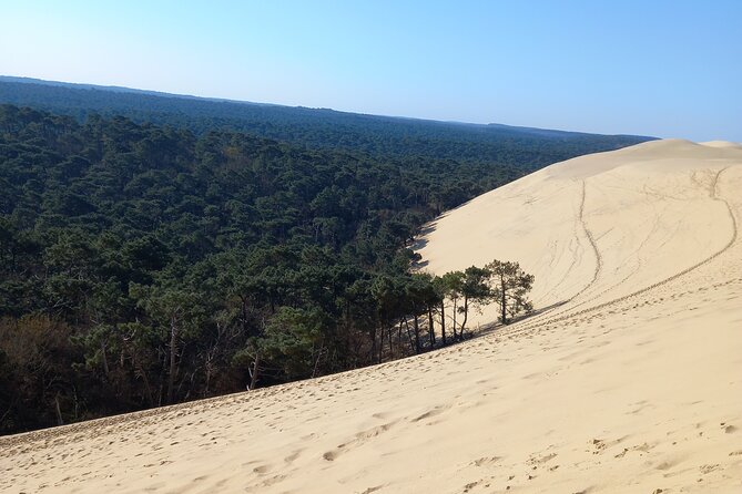 Dune du Pilat and Oysters Tasting in only 1 hour away from Bordeaux ! What else? - Arcachon free time and the Winter Town drive