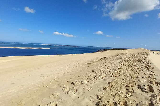 Dune du Pilat and Oysters Tasting in only 1 hour away from Bordeaux ! What else? - Who will enjoy this experience most