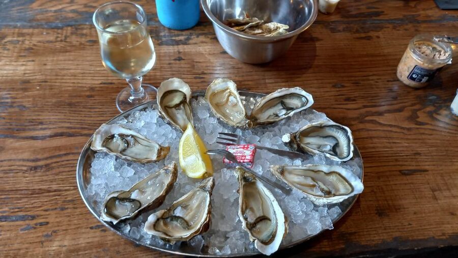 Dune du Pilat, Oysters Tasting and Arcachon! What else ? - Should you book the Dune du Pilat and oyster tour?
