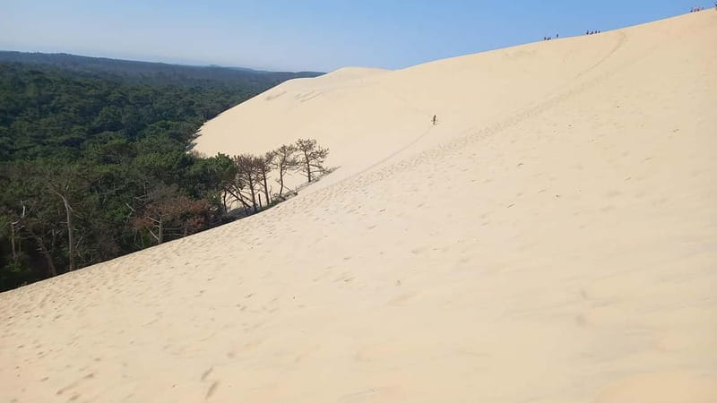 Dune du Pilat, Oysters Tasting and Arcachon! What else ? - Port de La Teste-de-Buch and the oyster tasting