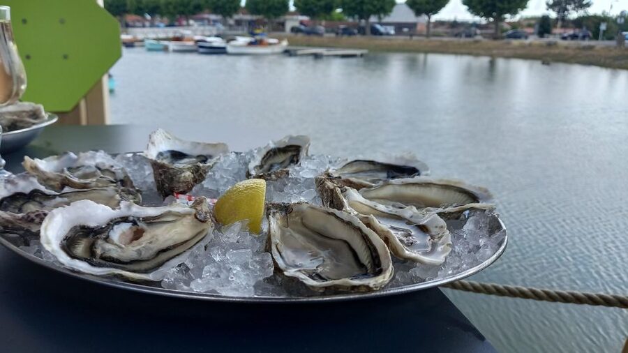 Dune du Pilat, Oysters Tasting and Arcachon! What else ? - Arcachon town, one hour beside the bay