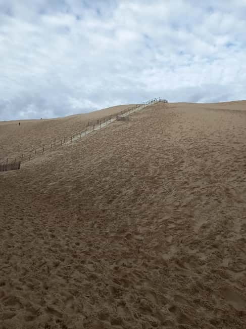 Dune du Pilat, Oysters Tasting and Arcachon! What else ? - The guide and the small-group atmosphere