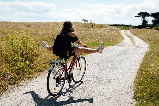 Electric bike excursion in Camargue - Starting near Le Grau-du-Roi and settling into the ride