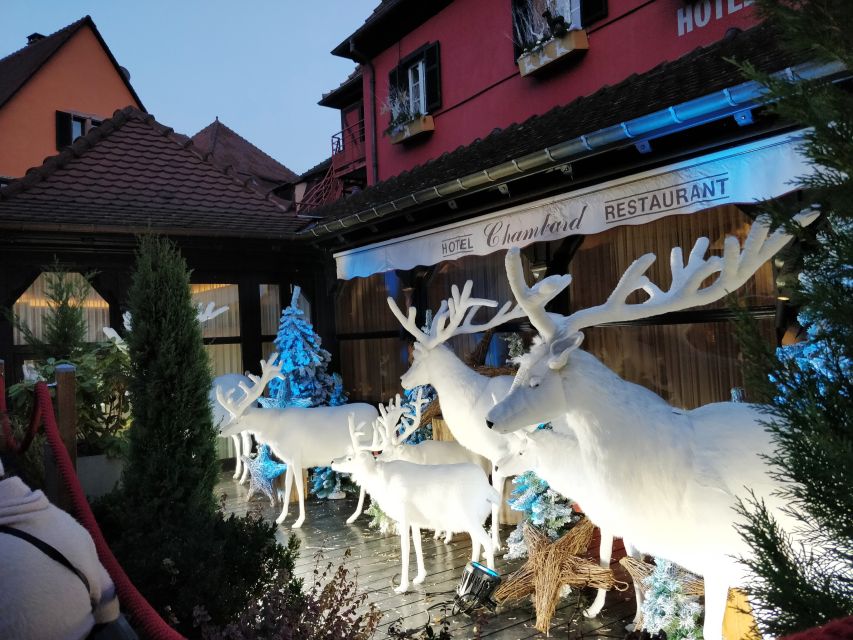 Enchanting Christmas Experience From Colmar - Eguisheim, where the Christmas story starts