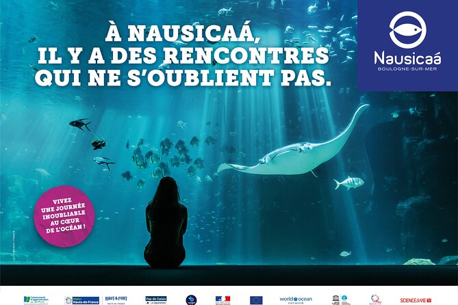 Entrance Ticket Nausicaa, the biggest aquarium in Europe - The main aquarium and its biggest animals