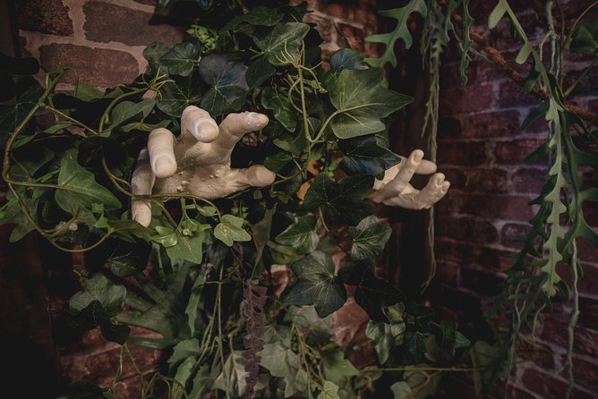 Escape Hunt Paris, Escape Game - Is $65.31 a fair Paris price?