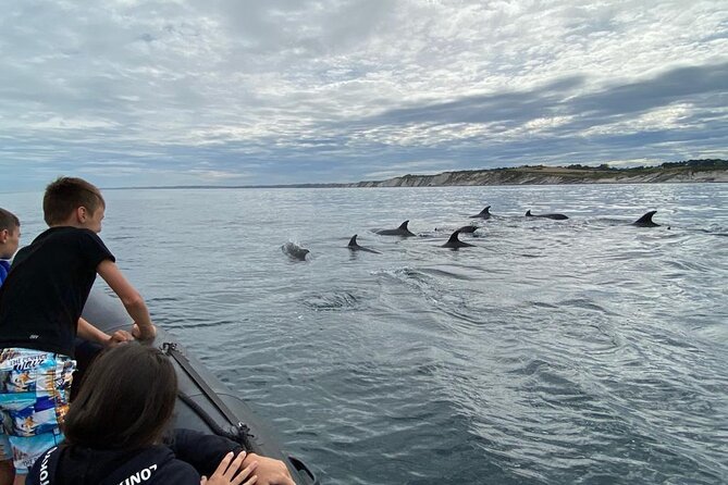 Explore the Wild Beauty of the Basque Coast by Boat - Hondarribia and the working Basque coast