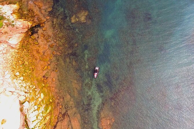 Explore the Wild Beauty of the Basque Coast by Boat - What the ride feels like on board