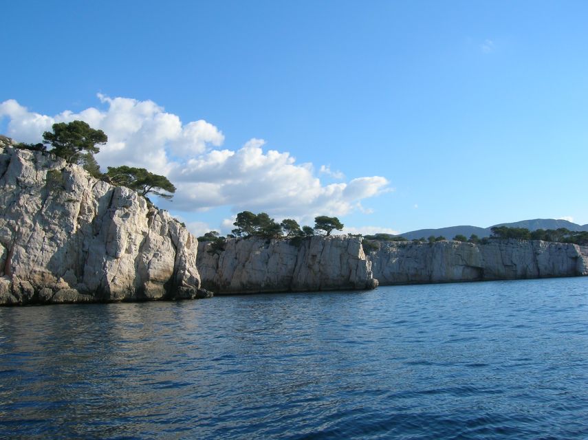 From Aix: Cassis Boat Ride & Provence Wine Tasting Day Tour - Should you book the Cassis day trip?