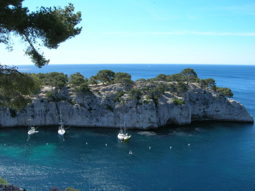 From Aix-en-Provence: Cassis Tour with Cap Canaille Stop - Cassis old port is the heart of the visit