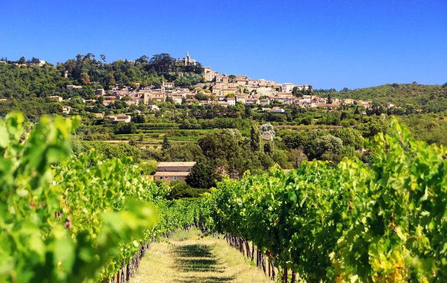 From Aix-en-Provence: Half-Day Wine Tour - The second estate brings a useful contrast