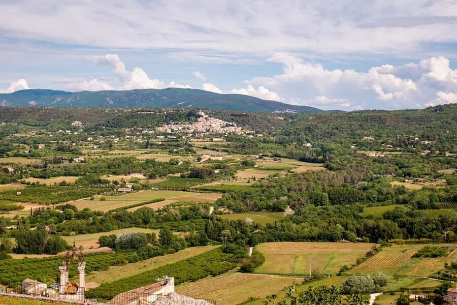 From Aix-en-Provence: Luberon Hilltop Villages Half-Day Tour - The minibus and the guide experience